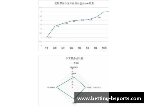 B体育自由球员后卫市场分析与未来趋势